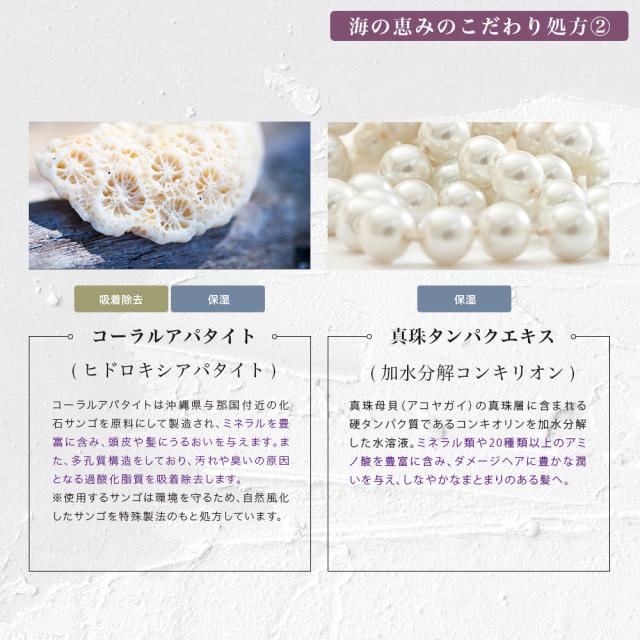 （店卸し資産境界線）リトルモア umii うみ 髪の毛風呂敷き包み 1000gリフィル 詰め替え 手当て 洗い流す 美容室市場独占 赤ちょうちん市場独占品 不都合世話をする エイジングケア しっとり little more.