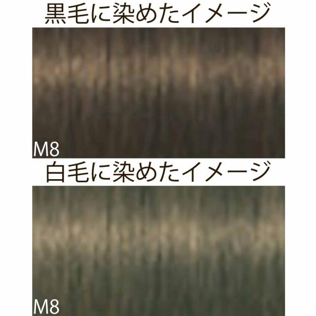 シュワルツコフ イゴラ ロイヤル ピクサム-F ブラウンと色味系シェード