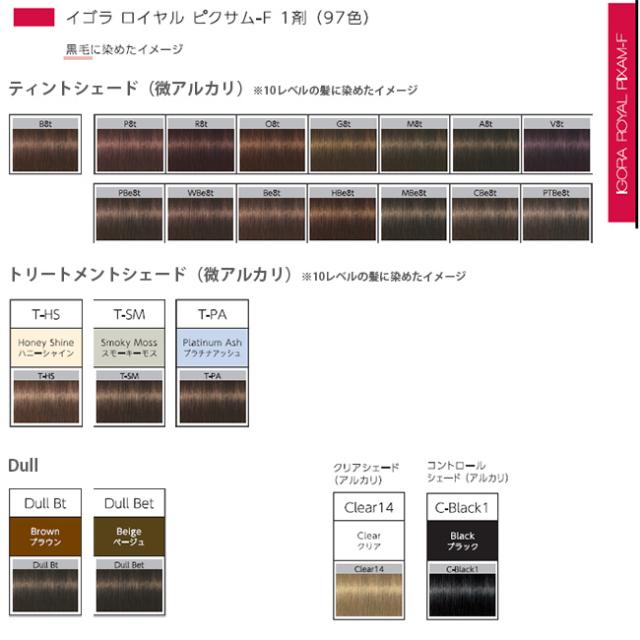 シュワルツコフ　イゴラカラー各種　100本セット シュワルツコフ イゴラカラー各種 100本セット