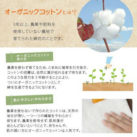 ソレイユ　オーガニック　ベビーふとん8点セット日本製　Priere（プリエール）【送料無料】