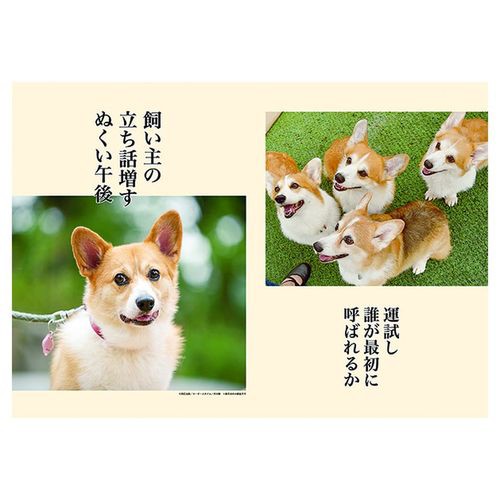 コーギー 犬川柳 カレンダー 年 壁掛け スケジュール いぬ 364 257mm インテリア Calendarの通販はau Wowma シネマコレクション 5400円以上で送料無料