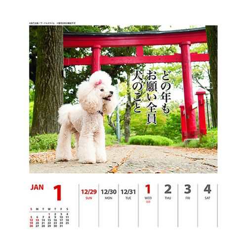 カレンダー プードル 犬川柳 週めくり 壁掛け 卓上 スケジュール いぬ 150 180mm インテリア Calendar メール便可の通販はau Pay マーケット シネマコレクション 5400円以上で送料無料