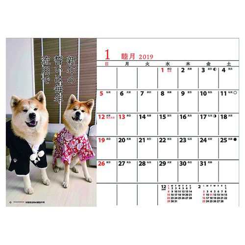 秋田犬川柳 カレンダー 年 卓上 スケジュール いぬ 180 148mm インテリア Calendar メール便可の通販はau Pay マーケット シネマコレクション 5400円以上で送料無料