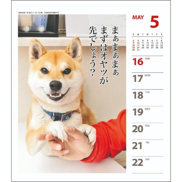 犬川柳 週めくり 21年 カレンダー 壁掛け 卓上 スケジュール 柴犬 インテリア 令和3年 暦 メール便可の通販はau Pay マーケット シネマコレクション 5400円以上で送料無料 犬川柳 週めくり 21年 カレンダー 壁掛け 卓上 スケジュール 柴犬 インテリア 令和3年 暦 メール便可の通販はau Pay マーケット シネマコレクション 5400円以上で送料無料