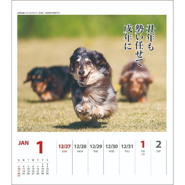 ダックス犬川柳 週めくり 21 カレンダー 壁掛け 卓上 スケジュール いぬ インテリア 令和3年 暦 メール便可の通販はau Pay マーケット シネマコレクション 5400円以上で送料無料 ダックス犬川柳 週めくり 21 カレンダー 壁掛け 卓上 スケジュール いぬ インテリア 令和3年 暦 メール便可の通販はau Pay マーケット シネマコレクション 5400円以上で送料無料