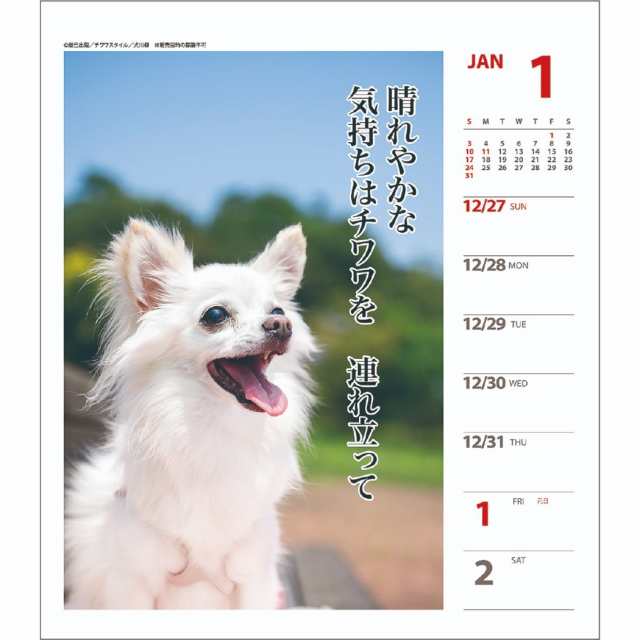 チワワ犬川柳 週めくり カレンダー 21年 壁掛け 卓上 スケジュール いぬ インテリア 令和3年 暦 メール便可の通販はau Pay マーケット シネマコレクション 5400円以上で送料無料