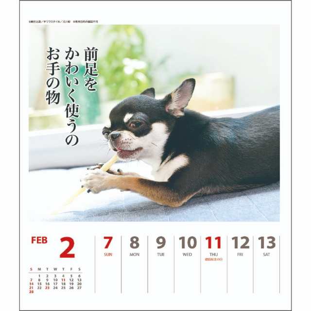 チワワ犬川柳 週めくり カレンダー 21年 壁掛け 卓上 スケジュール いぬ インテリア 令和3年 暦 メール便可の通販はau Pay マーケット シネマコレクション 5400円以上で送料無料