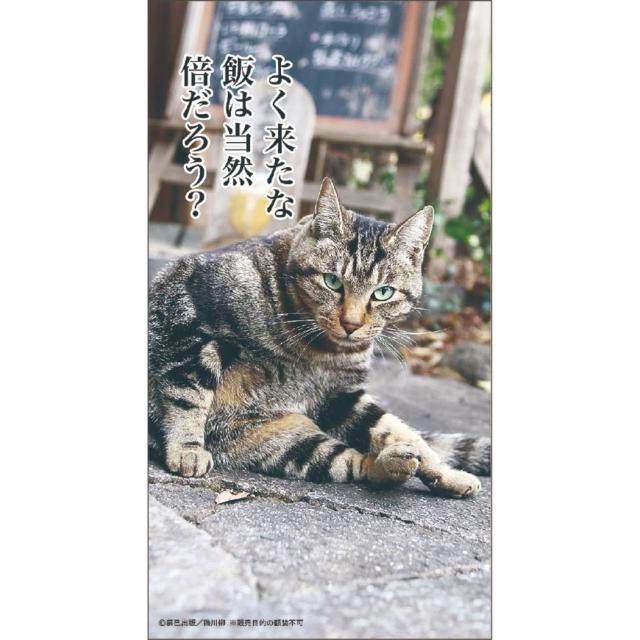 猫川柳 21 カレンダー 卓上 スケジュール ねこ インテリア 令和3年 暦 メール便可の通販はau Pay マーケット シネマコレクション 5400円以上で送料無料