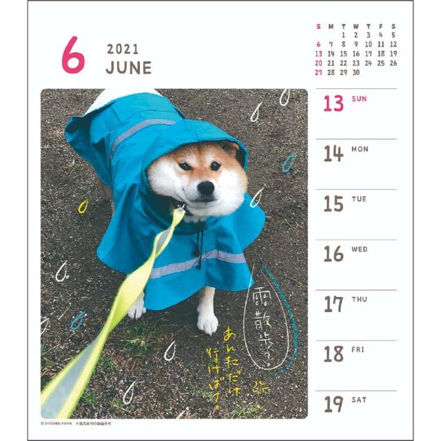 柴犬ハナちゃん 週めくり 21年 カレンダー 壁掛け 卓上 スケジュール いぬ インテリア 令和3年 暦 メール便可の通販はau Pay マーケット シネマコレクション 5400円以上で送料無料