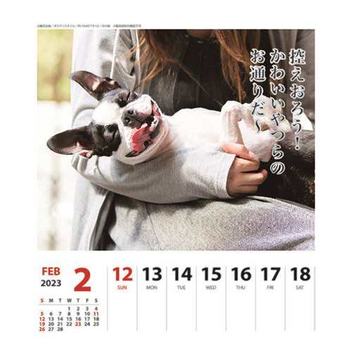 ペチャ犬川柳 週めくり 23calendar 壁掛け 卓上カレンダー23年 スケジュール いぬ インテリア 令和5年暦 予約 メール便可の通販はau Pay マーケット シネマコレクション 5400円以上で送料無料