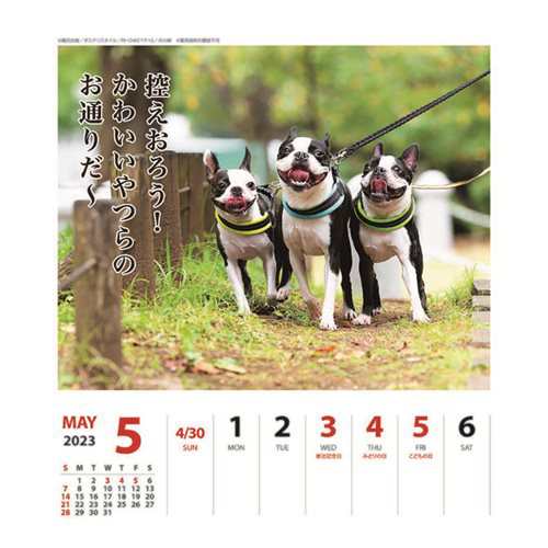 犬川柳 23年カレンダー ペチャゴコロ Fodexpo Com Co