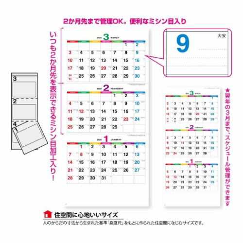 カラーラインメモ 3か月文字 2024Calendar 壁掛けカレンダー2024年