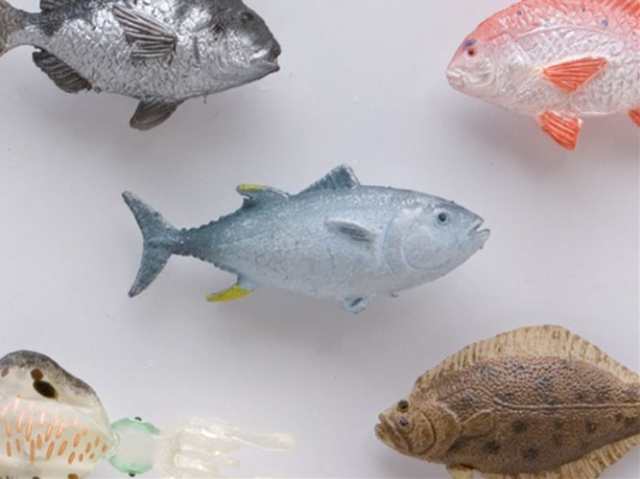 魚 Aセット フィッシュマグネット5個セット キッチン磁石 文房具の通販はau Pay マーケット シネマコレクション 5400円以上で送料無料