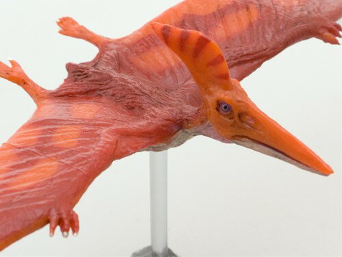 生き物・恐竜フィギュア 台座付き velkommen_fvt-fdw-003