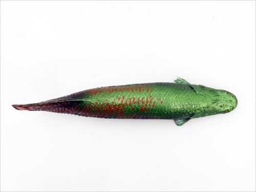 古代魚 フィギュア ソフトモデルフィギュア ピラルクー 恐竜