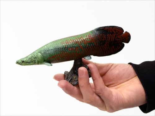 (未使用･未開封品)　ピラルクー ソフトモデル(FF-002) 0pbj0lf 楽天市場】フェバリット 古代魚フィギュアエンシェント