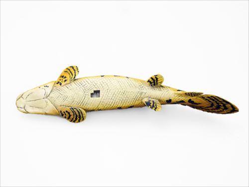 古代魚 フィギュア ソフトモデルフィギュア ポリプテリス