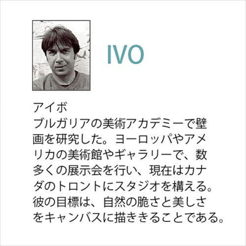取寄品 送料無料 フラワー アート 絵画 額縁つき Art Frames イレイティッドポピー アイボ IVO_4