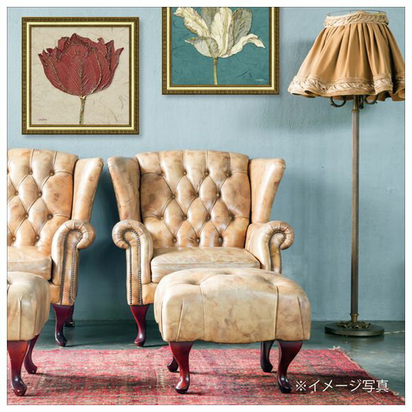 取寄品 送料無料 ダイアン・スティムソン フラワー アート Art Frames チューリップウィズターコイズ インテリア グッズ_1