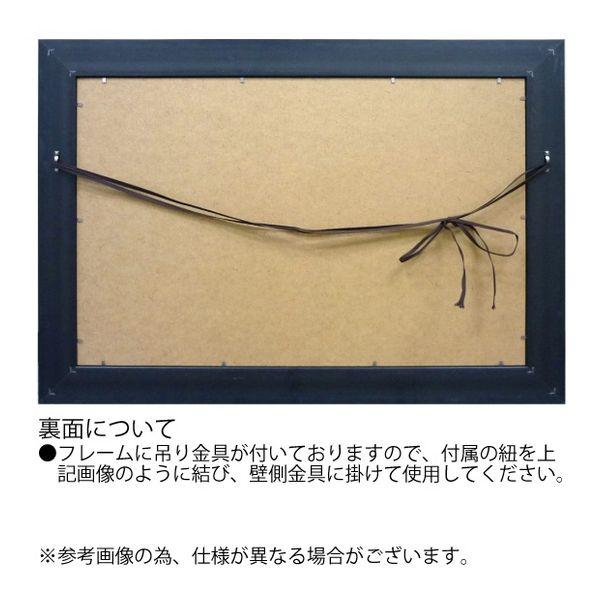 取寄品 送料無料 ダイアン・スティムソン フラワー アート Art Frames チューリップウィズブラック インテリア グッズ_3