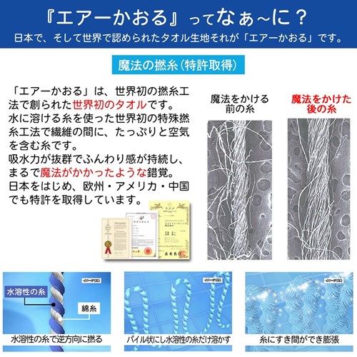 エアーかおる 大人用 枕カバー 消臭タオル まくらカバー 加齢臭対応 浅野撚糸 ギフト雑貨 グッズ メール便可の通販はau Pay マーケット シネマコレクション 5400円以上で送料無料