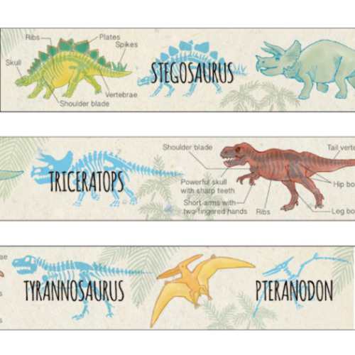 マスキングテープ Study Holic 15mm マステ 古生物学 Decoテープ 図鑑風 グッズ メール便可の通販はau Pay マーケット シネマコレクション 5400円以上で送料無料