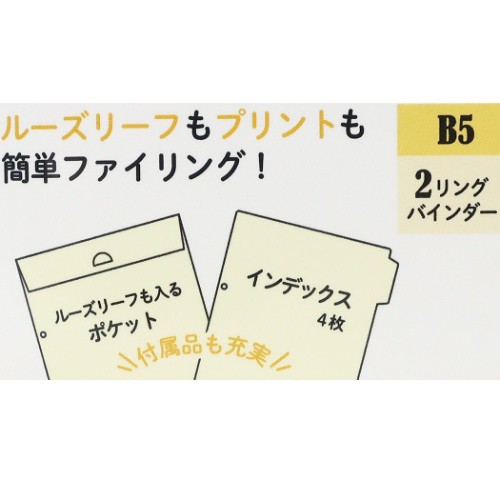 スヌーピー ルーズリーフ バインダー B5 2穴 リング バインダー パターン ピーナッツ キャラクター グッズの通販はau Pay マーケット シネマコレクション 5400円以上で送料無料