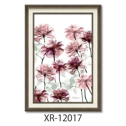 アルバートクーツィール フラワーアート X RAYキャンバスアート フラワーベッド Mサイズ 額付き インテリア 取寄品の通販は