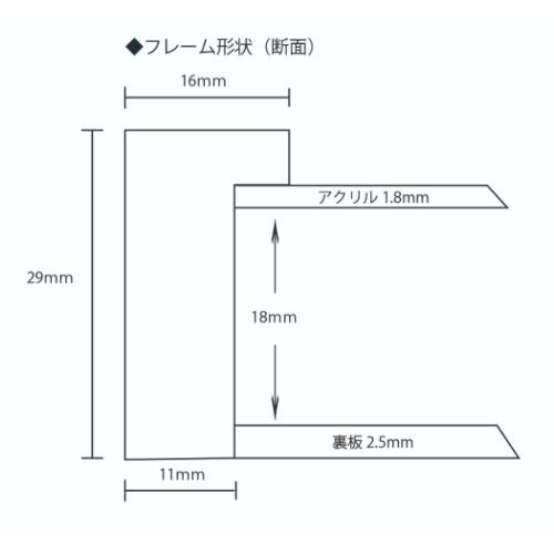 額縁 ヌーベルフレーム Novel Frame 大衣 木製 インテリア 取寄品