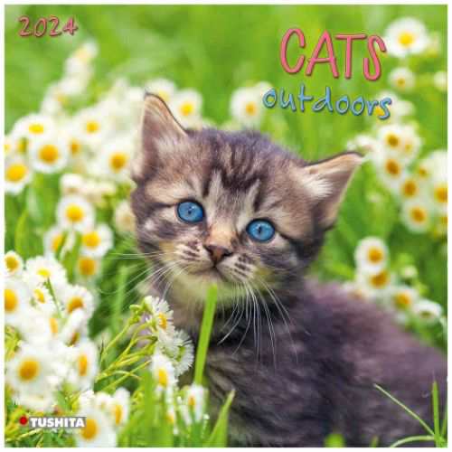 TUSHITA 2024 Calendar 壁掛けカレンダー2024年 Cats Outdoors ねこ