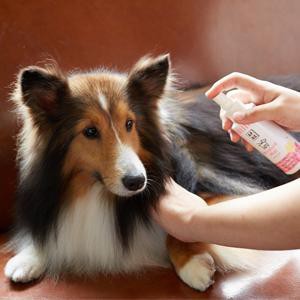 犬用ブラッシングスプレー 犬用化粧水 ミニボトルセット 無添加 A P D C グルーミング モイスチャー 30ml ミニボトル セット 購入金額別の通販はau Pay マーケット オーガニック健康生活 むぎごころ