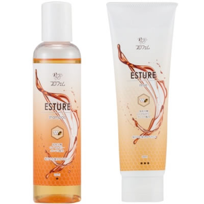 プロフェム エスチュアシャンプー ＆ エスチュアリンス 200ml×2本セットの通販は