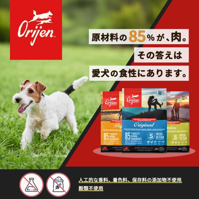 オリジン Orijen パピーラージ 大型犬種子犬用 11.4kg オリジン