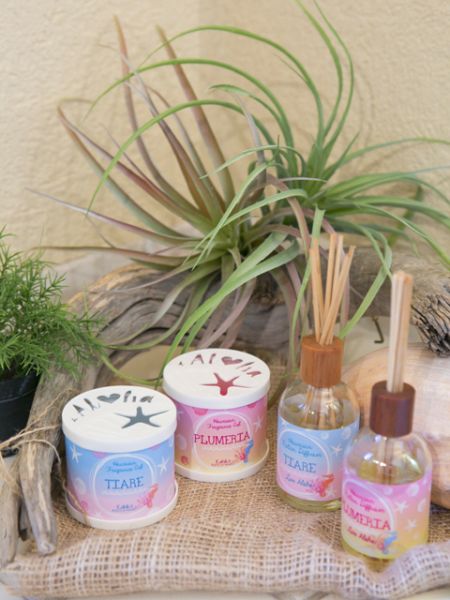 芳香剤 車 香り缶 部屋 トイレ 玄関 洗面所 アロマ ハワイ 雑貨 ココナッツ シェル Gel フレグラの通販はau Pay マーケット ｌａｚｙ ｍａｇｎｏｌｉａ