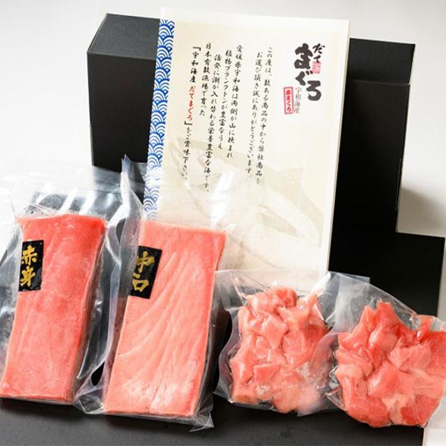 だてまぐろ詰合せ 愛媛県産 伊達まぐろ 本まぐろ 宇和海産 養殖まぐろ 鮪 マグロ 伊達秀宗 赤身 中トロ 切落し お刺身 寿司  海鮮 お取り寄せ 御歳暮ギフト_1