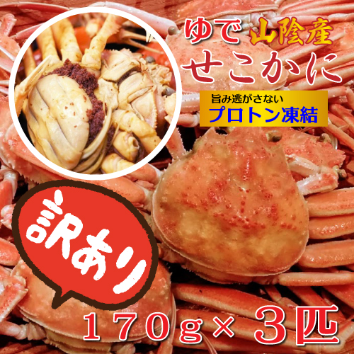 訳あり 釜茹で セコガニ 170g x 3匹 山陰産 プロトン凍結 濃厚 卵 かにみそ 冷凍便 送料無料 [MRY] 国産 カニ かに 蟹 子持ち ゆでがに せいこ蟹 雌 ボイル マルヨ食品の通販は 5,480円