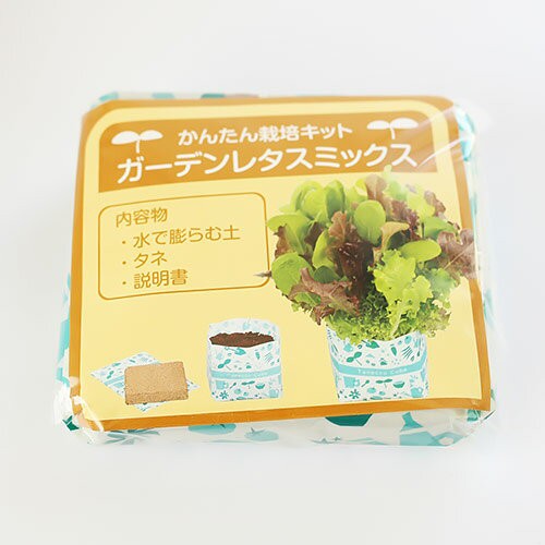 アウトレット 野菜栽培キット ガーデンレタス リラックマ サラダボウル セットの通販はau Pay マーケット 陶器舎