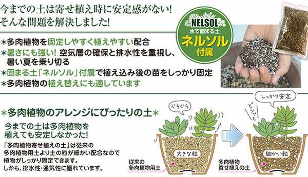 花ごころ 多肉植物寄せ植えの土 5lの通販はau Pay マーケット 陶器舎