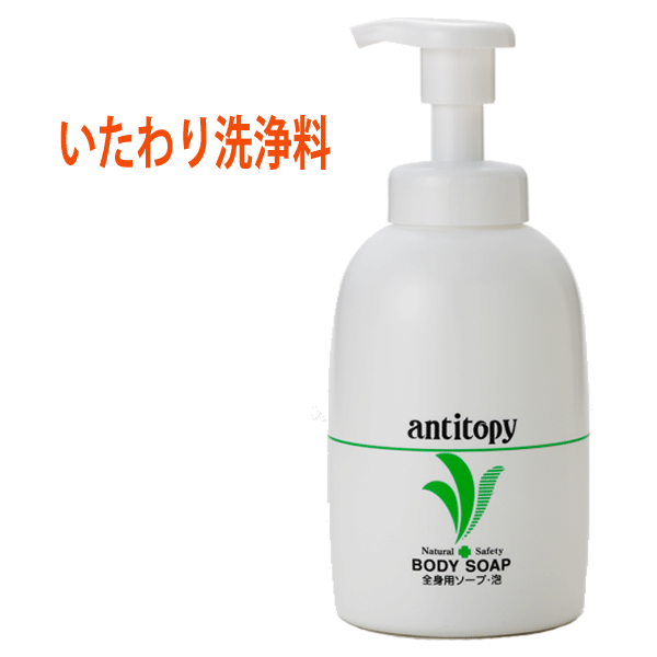 日本オリーブ 全身用洗浄料 アンチトピー全身用ソープ泡 500ml ポンプ式 デリケートな肌と髪の全身用洗浄料 オリーブマノンの通販はau PAY  マーケット オリーブオイル・化粧品のサン工房 au PAY マーケット－通販サイト