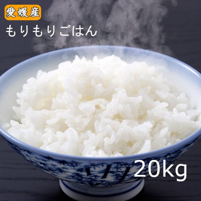 米 20kg もりもりごはん20kg(10kg×2)愛媛県産【送料無料】※北海道,東北,沖縄除く