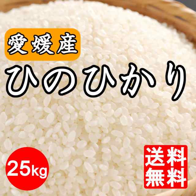 25kg　白米　愛媛県産　令和4年米　コシヒカリ