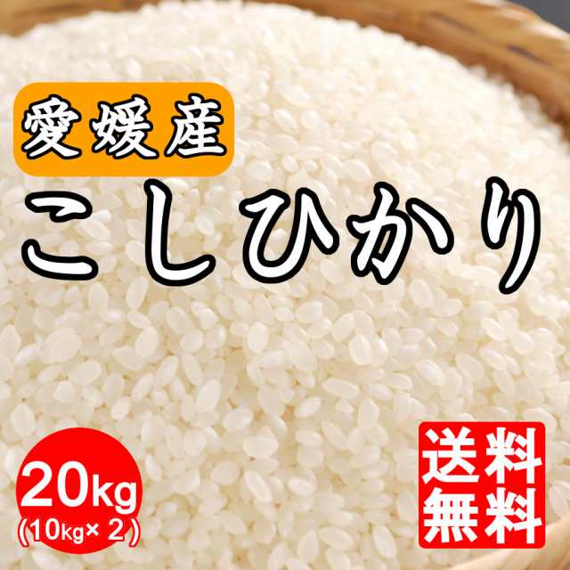 20キロ　コシヒカリ　新米　愛媛県産　送料込み