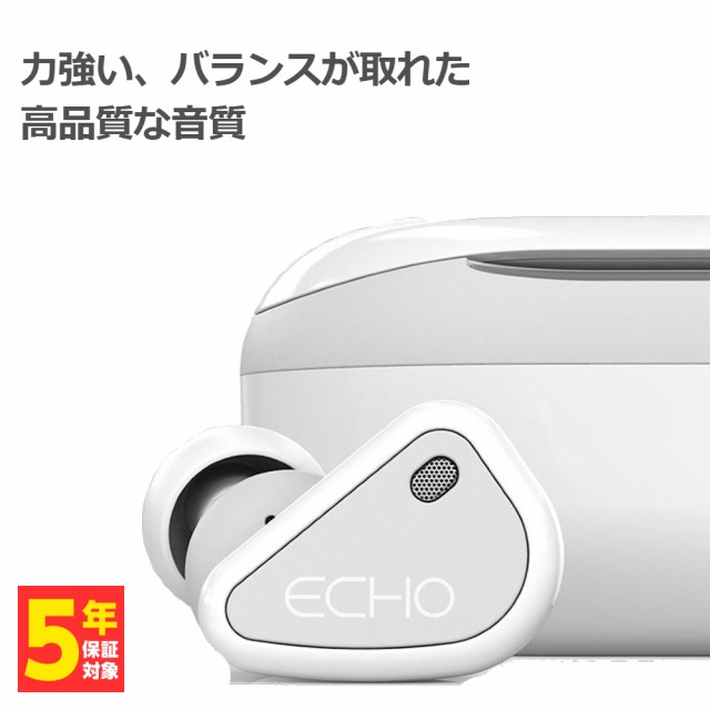 TANCHJIM タンジジム ECHO ワイヤレス イヤホン Bluetooth マイク付き (送料無料)