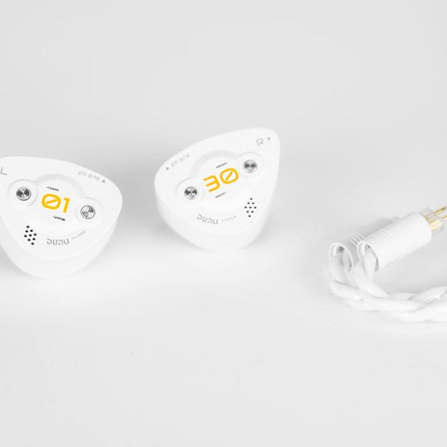 DUNU-TOPSOUND DK3001 BD 有線 イヤホン カナル型 リケーブル対応