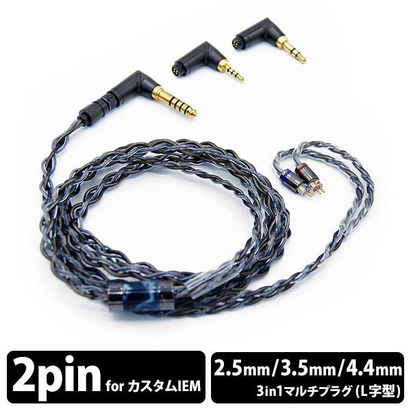 AAW POLA 39 カスタムIEM 本体のみ