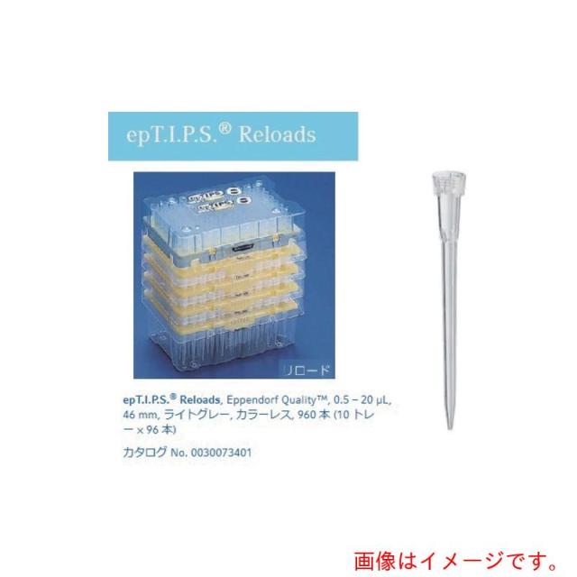アズワン　ＡＳ　ｅｐチップリロード００３００７３４１０　【品番：2-4875-12】