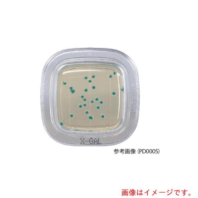 アズワン　ＡＳ　【保存の際は要冷蔵】ぺたんチェックＤＤ　ＰＤ０００６　【品番：2-6430-40】