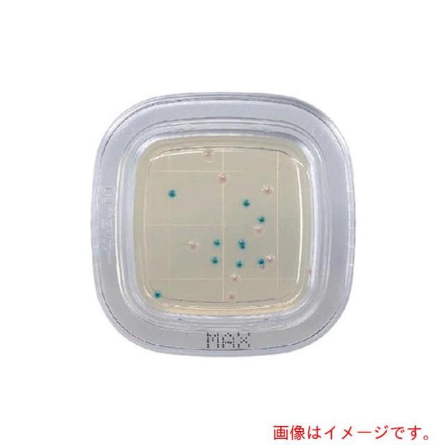 アズワン　ＡＳ　【保存の際は要冷蔵】ぺたんチェックＤＤ　ＰＤ０００８　【品番：2-6430-42】