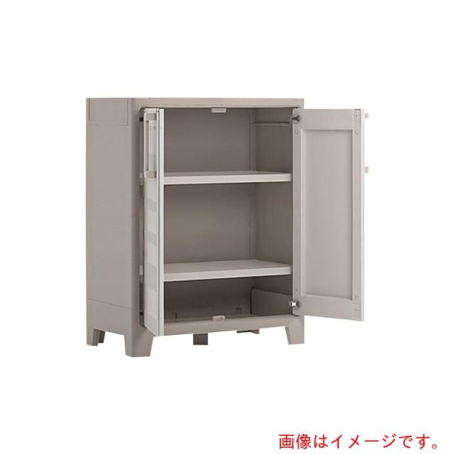 アズワン ＡＳ プラキャビネット９７５２０００精神的な統合済 【品番：3-1614-11】