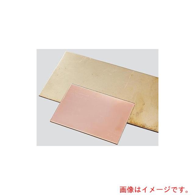 アズワン　ＡＳ　金属プレート１０枚ＣＵ?□５０?０．９　【品番：3-3113-12】